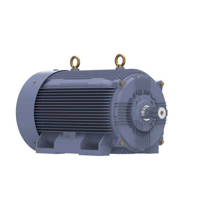 Cast Iron Motor, 270 HP, 3 Ph, 50 Hz, 400 V, 1000 RPM, 355M Frame, TEFC