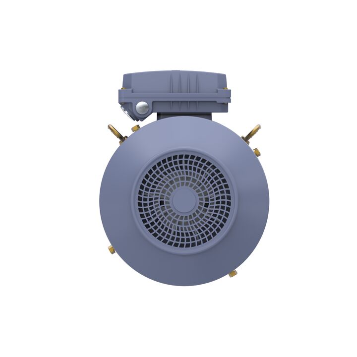Cast Iron Motor, 10 HP, 3 Ph, 50 Hz, 400 V, 3000 RPM, 132S Frame, TEFC
