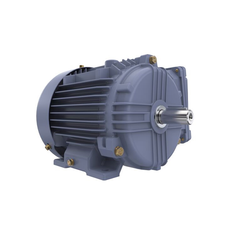 Cast Iron Motor, 1.50 HP, 3 Ph, 50 Hz, 400 V, 3000 RPM, 80M Frame, TEFC