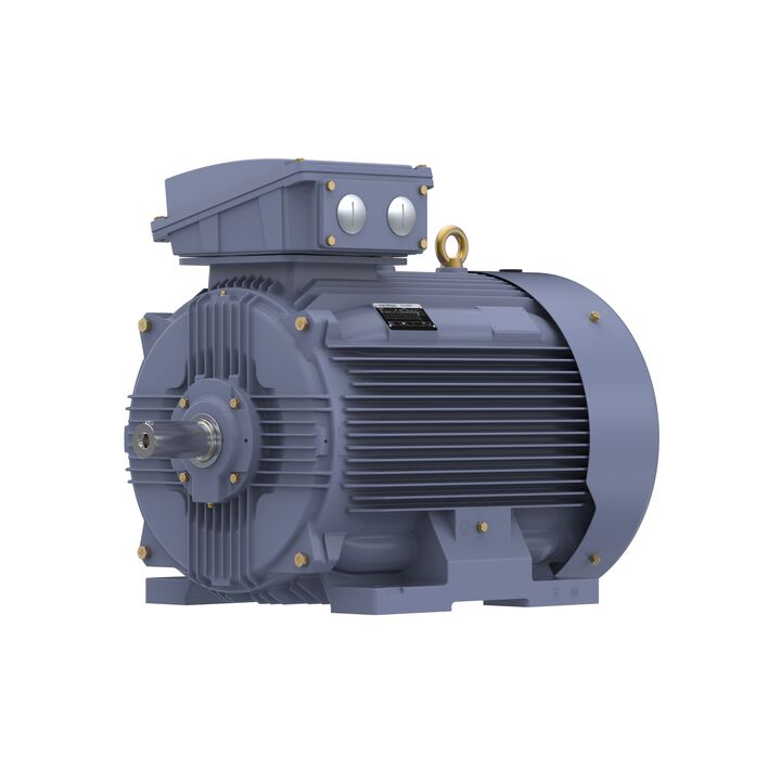 Cast Iron Motor, 150 HP, 3 Ph, 50 Hz, 400 V, 1000 RPM, 315L Frame, TEFC