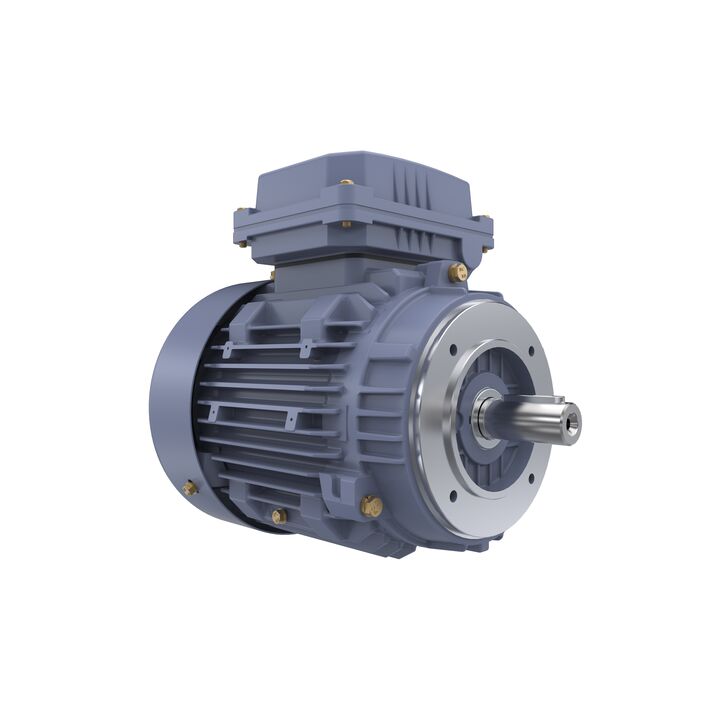 Cast Iron Motor, 1.50 HP, 3 Ph, 50 Hz, 400 V, 1000 RPM, 90L Frame, TEFC