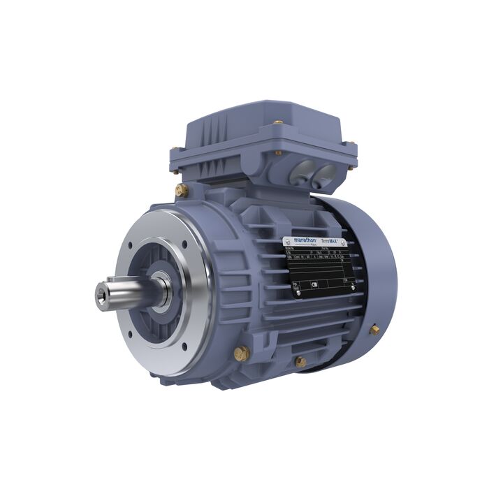 Cast Iron Motor, 1.50 HP, 3 Ph, 50 Hz, 400 V, 1000 RPM, 90L Frame, TEFC