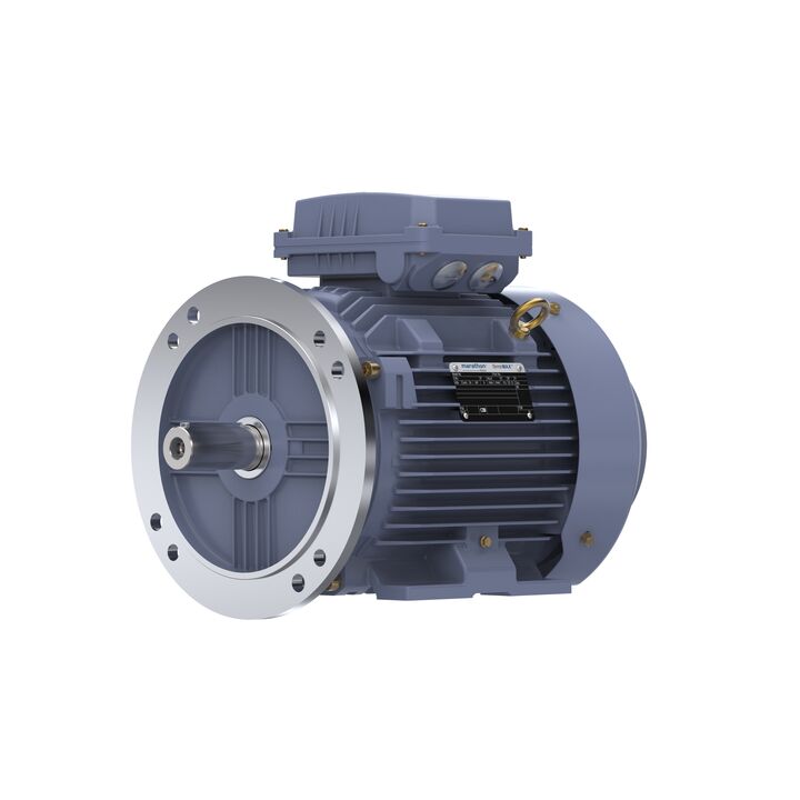 Cast Iron Motor, 10 HP, 3 Ph, 50 Hz, 400 V, 1500 RPM, 132M Frame, TEFC
