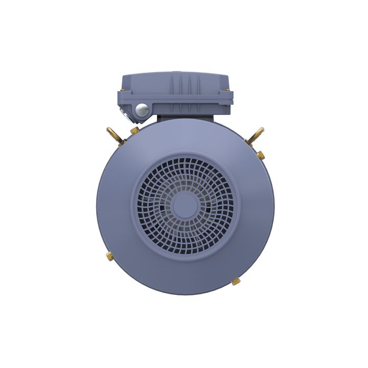 Cast Iron Motor, 4 HP, 3 Ph, 50 Hz, 400 V, 1000 RPM, 132S Frame, TEFC