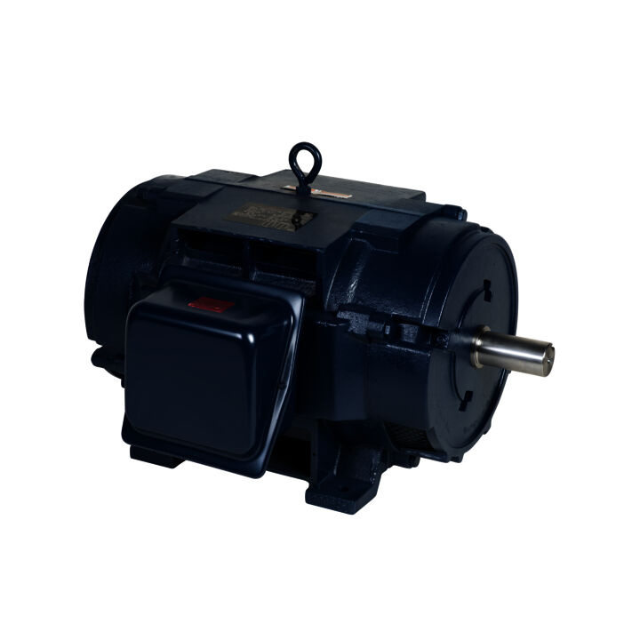 Other Purpose Motor, 100 & 75 HP, 3 Ph, 60 & 50 Hz, 230/460 & 190/380 V, 3600 & 3000 RPM, 365TS Frame, DP