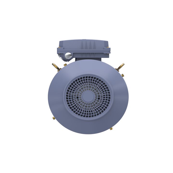 Cast Iron Motor, 10 HP, 3 Ph, 50 Hz, 400 V, 1500 RPM, 132M Frame, TEFC