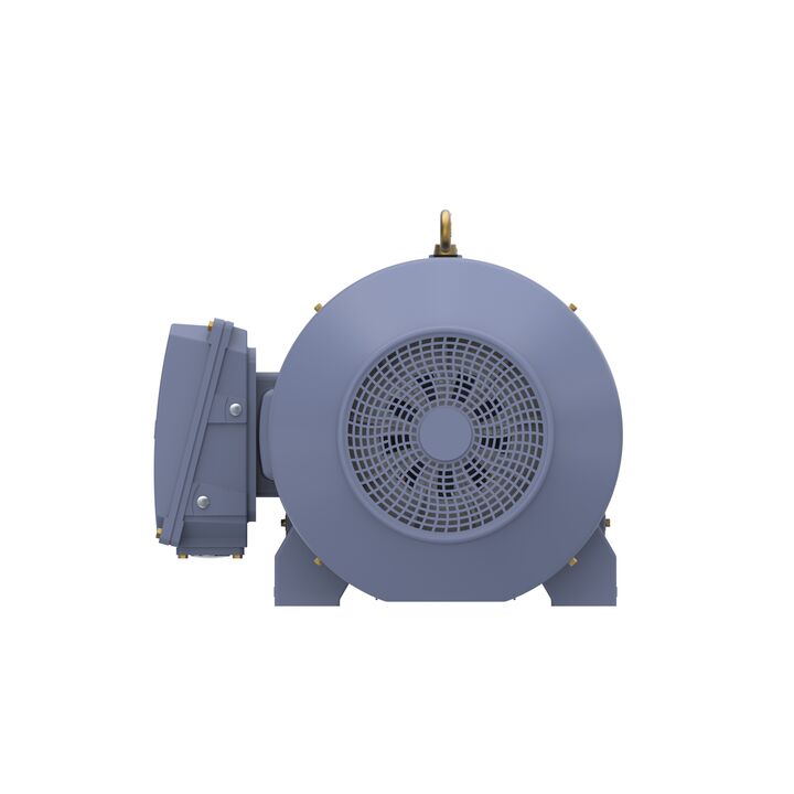 Cast Iron Motor, 150 HP, 3 Ph, 50 Hz, 400 V, 1000 RPM, 315L Frame, TEFC