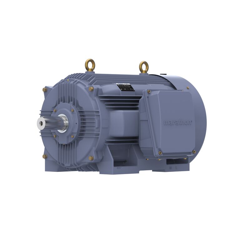 Cast Iron Motor, 150 HP, 3 Ph, 50 Hz, 400 V, 1000 RPM, 315L Frame, TEFC
