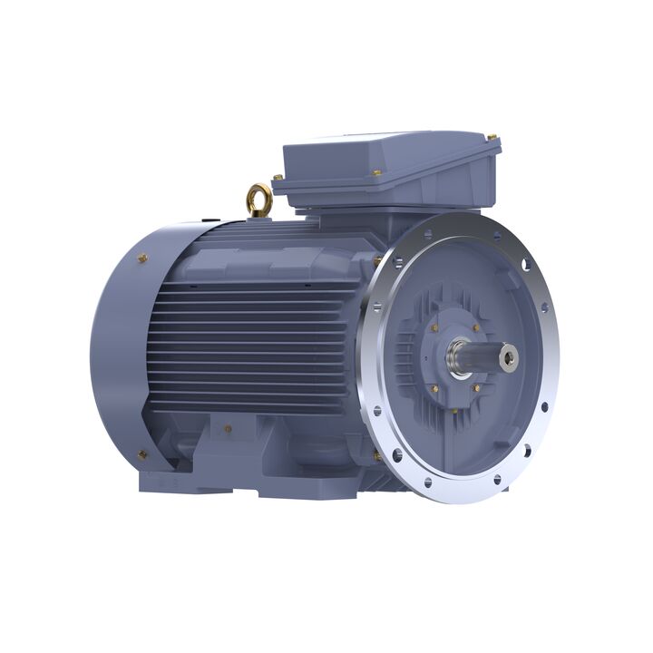 Cast Iron Motor, 150 HP, 3 Ph, 50 Hz, 400 V, 1000 RPM, 315L Frame, TEFC