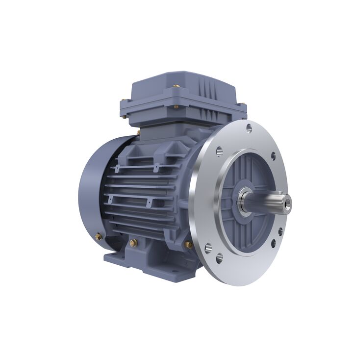 Cast Iron Motor, 1.50 HP, 3 Ph, 50 Hz, 400 V, 1000 RPM, 90L Frame, TEFC