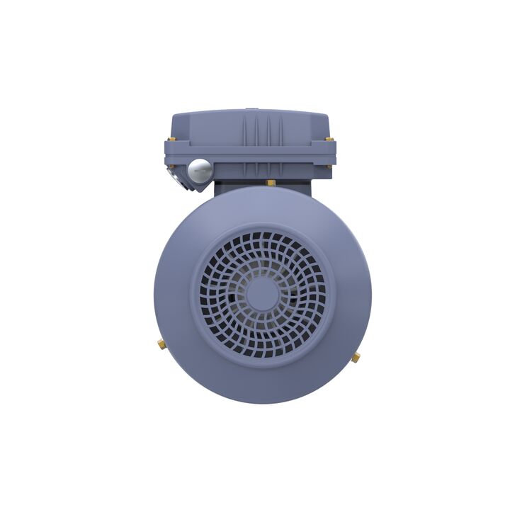 Cast Iron Motor, 1.50 HP, 3 Ph, 50 Hz, 400 V, 1000 RPM, 90L Frame, TEFC