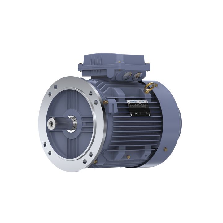 Cast Iron Motor, 10 HP, 3 Ph, 50 Hz, 400 V, 1500 RPM, 132M Frame, TEFC
