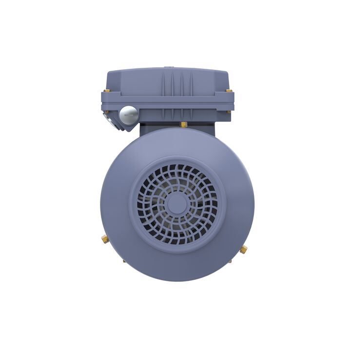 Cast Iron Motor, 1 HP, 3 Ph, 50 Hz, 400 V, 1500 RPM, 80M Frame, TEFC