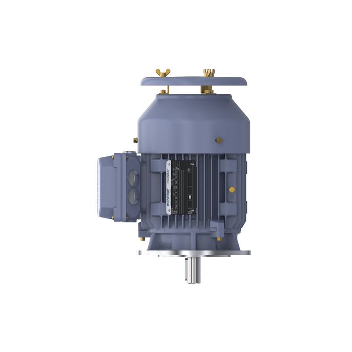 Cast Iron Motor, 1.50 HP, 3 Ph, 50 Hz, 400 V, 1000 RPM, 90L Frame, TEFC