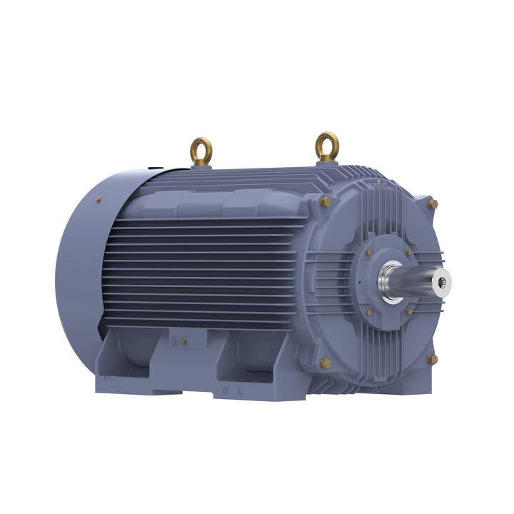 Cast Iron Motor, 150 HP, 3 Ph, 50 Hz, 400 V, 1000 RPM, 315L Frame, TEFC