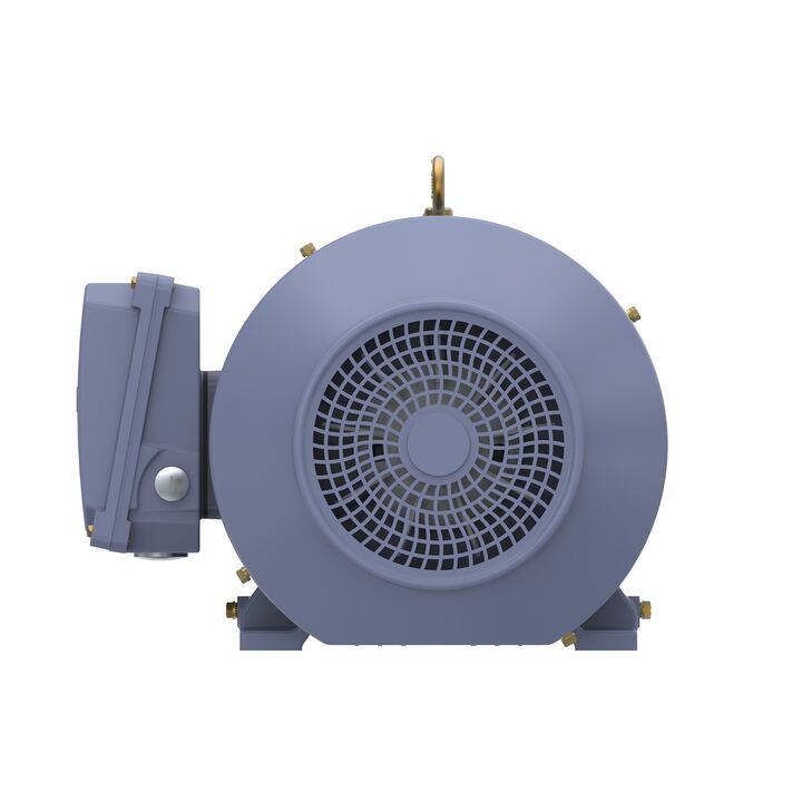 Cast Iron Motor, 10 HP, 3 Ph, 50 Hz, 400 V, 3000 RPM, 132S Frame, TEFC