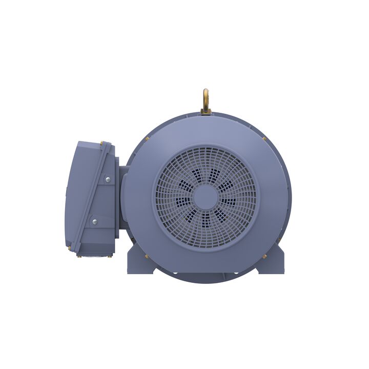 Cast Iron Motor, 270 HP, 3 Ph, 50 Hz, 400 V, 750 RPM, 355L Frame, TEFC