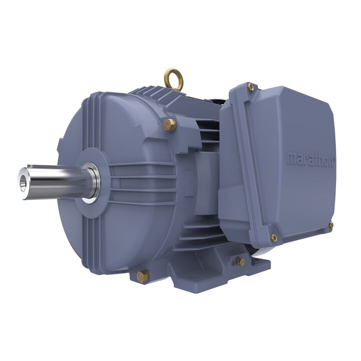 Cast Iron Motor, 4 HP, 3 Ph, 50 Hz, 400 V, 1000 RPM, 132S Frame, TEFC