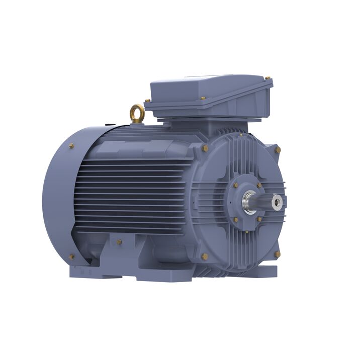 Cast Iron Motor, 150 HP, 3 Ph, 50 Hz, 400 V, 1000 RPM, 315L Frame, TEFC