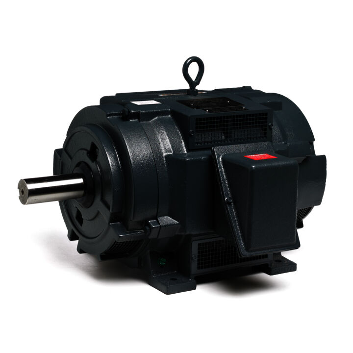 Other Purpose Motor, 40 HP, 3 Ph, 60 Hz, 460/796 V, 1200 RPM, 365T Frame, DP