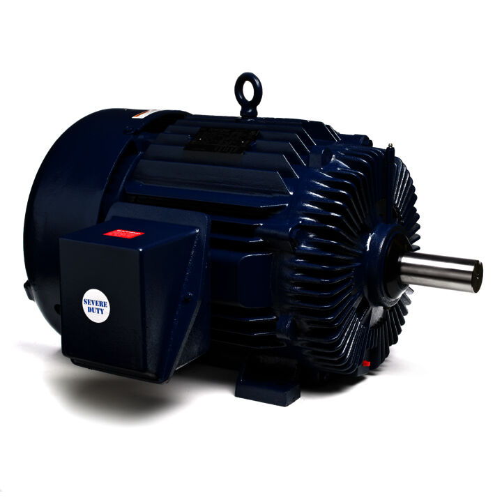 Other Purpose Motor, 125 & 100 HP, 3 Ph, 60 & 50 Hz, 460 & 380 V, 3600 & 3000 RPM, 444TS Frame, TEFC