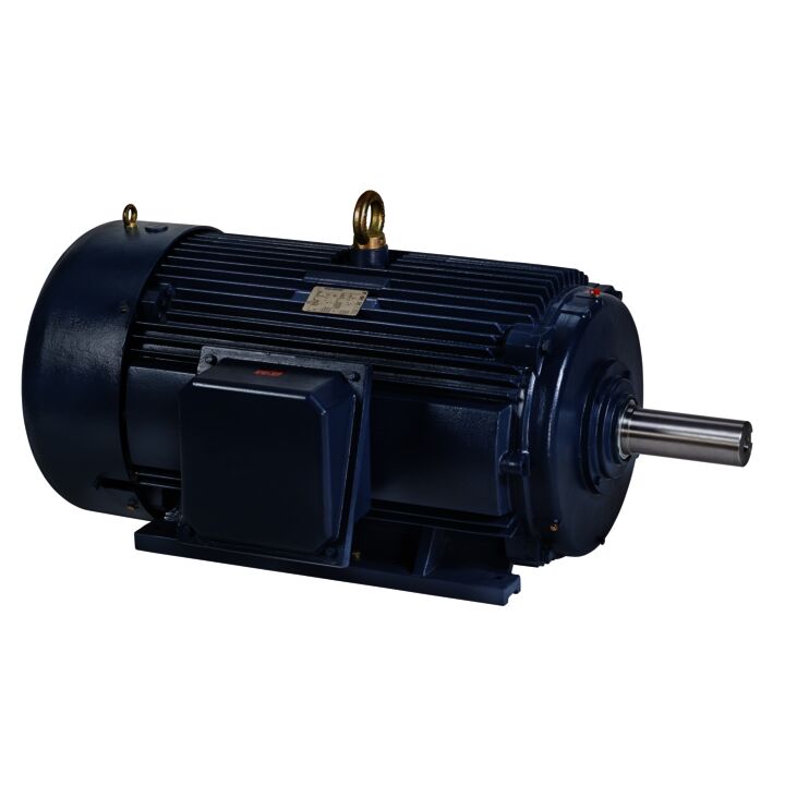 Crusher Duty Motor, 150 & 125 HP, 3 Ph, 60 & 50 Hz, 460 & 380 V, 1200 & 1000 RPM, 447T Frame, TEFC