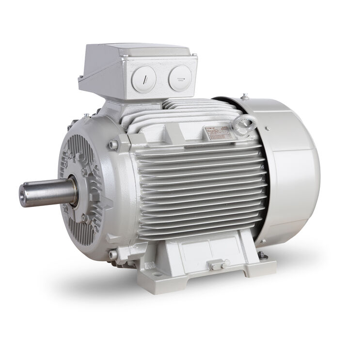 11.00 kW General Purpose Low Voltage IEC Motor IE3, 3 phase, 1500 rpm, D400/Y690V 50Hz, 160M Frame B3, IC411