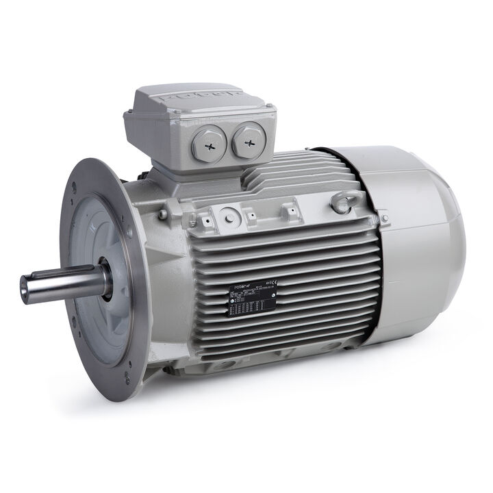 11.00 kW General Purpose Low Voltage IEC Motor IE3, 3 phase, 1000 rpm, D400/Y690V 50Hz, 160L Frame B5, IC411