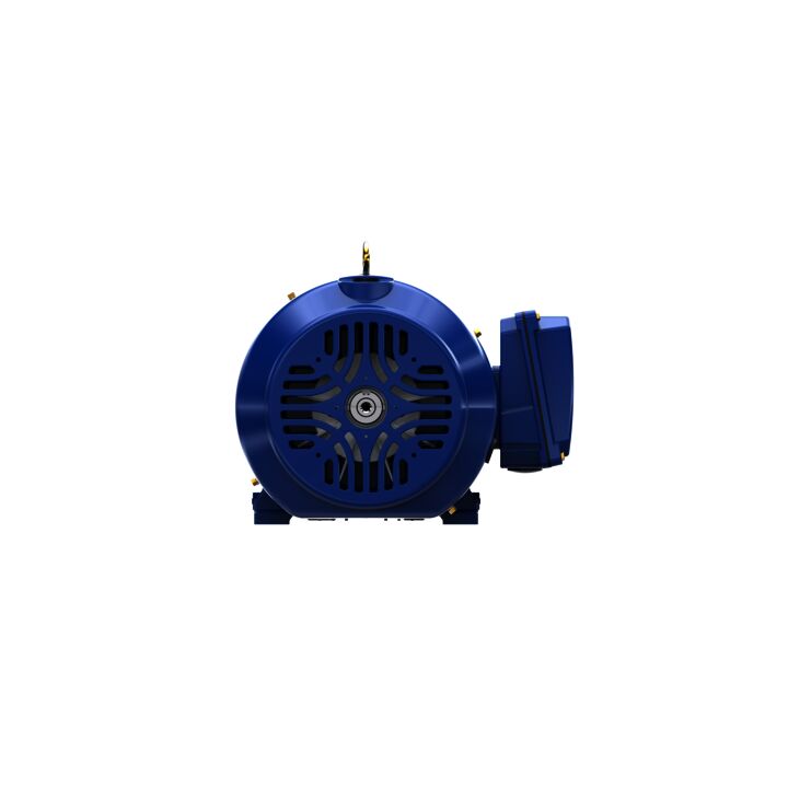 Severe Duty Motor, 7.50 HP, 3 Ph, 60 Hz, 230/460 V, 1800 RPM, 213T Frame, TEFC