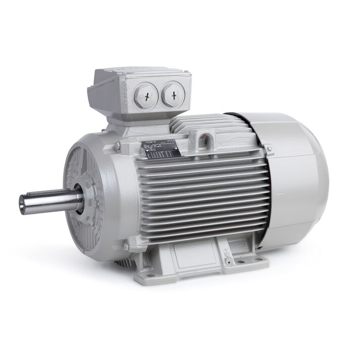11.00 kW General Purpose Low Voltage IEC Motor IE3, 3 phase, 1000 rpm, D400/Y690V 50Hz, 160L Frame B3, IC411