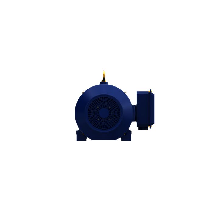 General Purpose Motor, 250 & 200 HP, 3 Ph, 60 & 50 Hz, 460 & 380 V, 3600 & 3000 RPM, 449TS Frame, TEFC