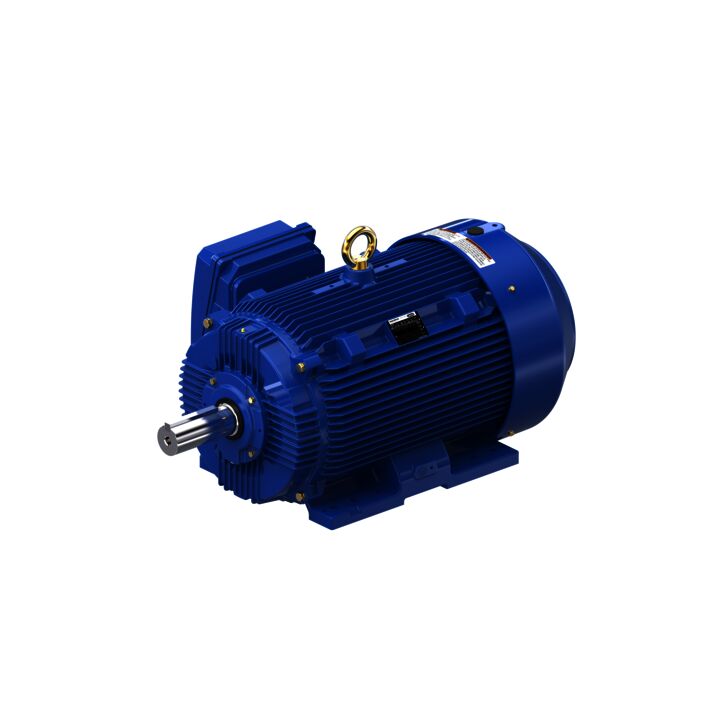 Severe Duty Motor, 200 HP, 3 Ph, 60 Hz, 460 V, 1800 RPM, 445T Frame, TEFC