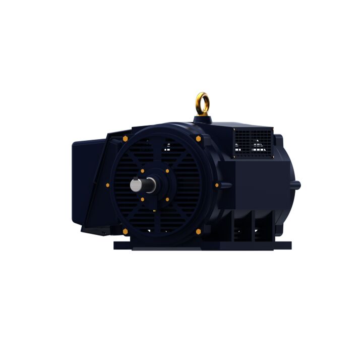 General Purpose Motor, 350 & 300 HP, 3 Ph, 60 & 50 Hz, 460 & 380 V, 1800 & 1500 RPM, 447TS Frame, DP