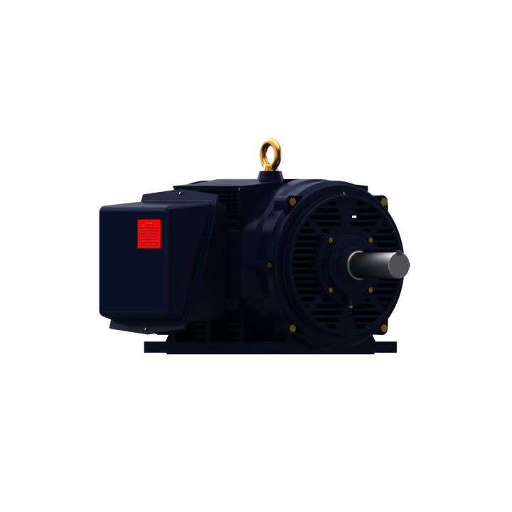 General Purpose Motor, 300 & 250 HP, 3 Ph, 60 & 50 Hz, 460 & 380 V, 1200 & 1000 RPM, 449T Frame, DP