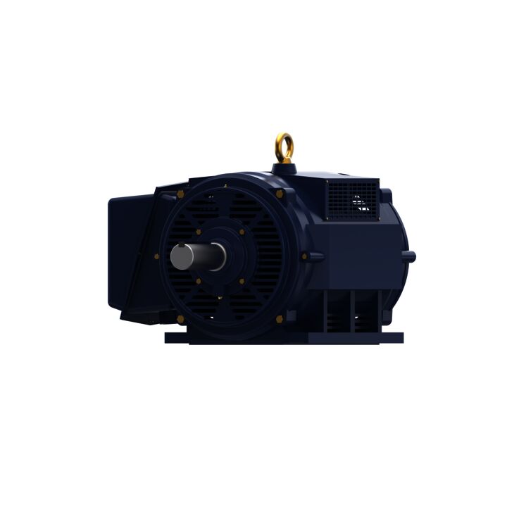 General Purpose Motor, 300 & 250 HP, 3 Ph, 60 & 50 Hz, 460 & 380 V, 1200 & 1000 RPM, 449T Frame, DP