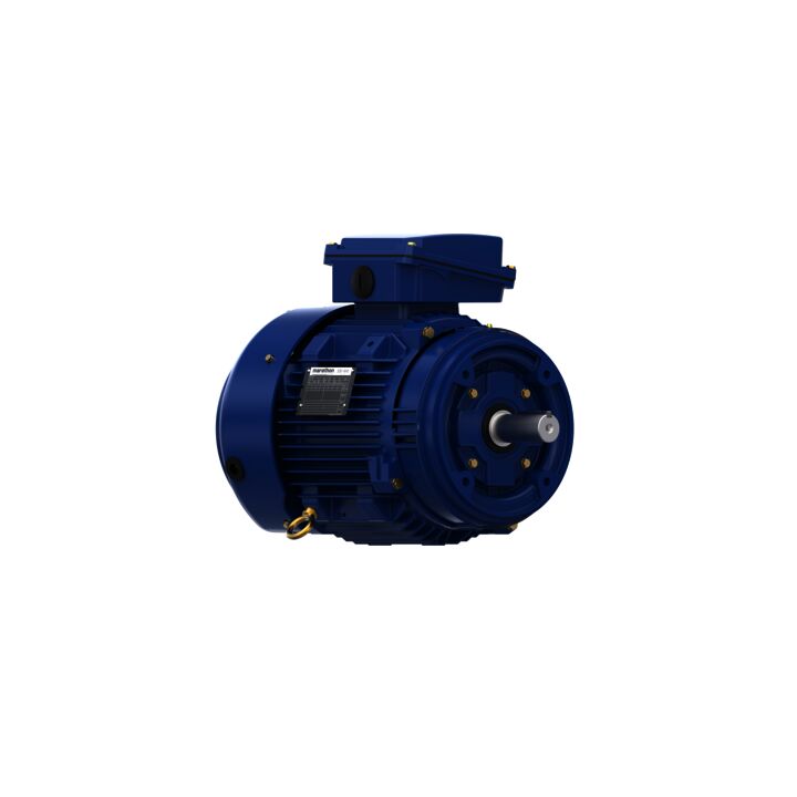 Severe Duty Motor, 7.50 HP, 3 Ph, 60 Hz, 460 V, 1800 RPM, 213TCV Frame, TEFC