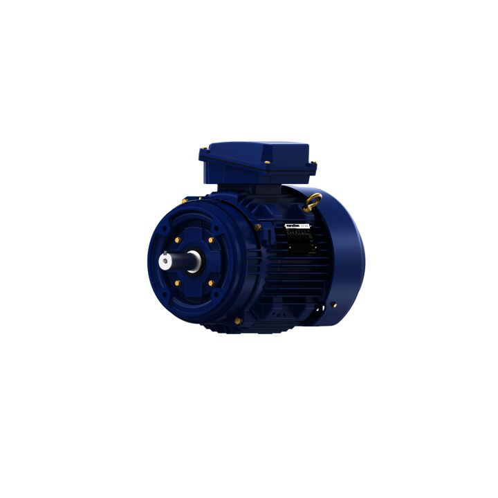 Severe Duty Motor, 7.50 HP, 3 Ph, 60 Hz, 460 V, 1800 RPM, 213TCV Frame, TEFC