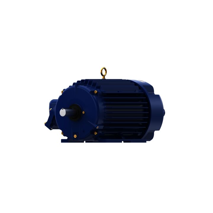 Explosion Proof Motor, 10 & 7.50 HP, 3 Ph, 60 & 50 Hz, 230/460 & 190/380 V, 1800 & 1500 RPM, 215T Frame, EPFC