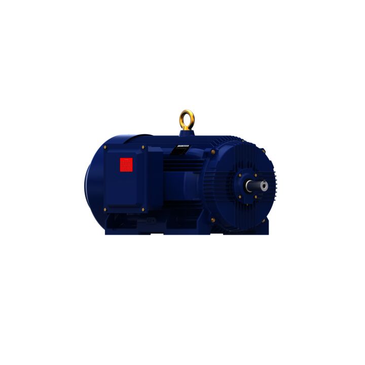 General Purpose Motor, 250 & 200 HP, 3 Ph, 60 & 50 Hz, 460 & 380 V, 3600 & 3000 RPM, 449TS Frame, TEFC