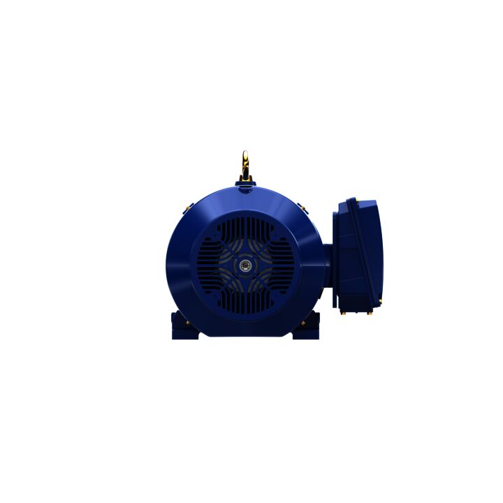 Severe Duty Motor, 200 HP, 3 Ph, 60 Hz, 460 V, 1800 RPM, 445T Frame, TEFC