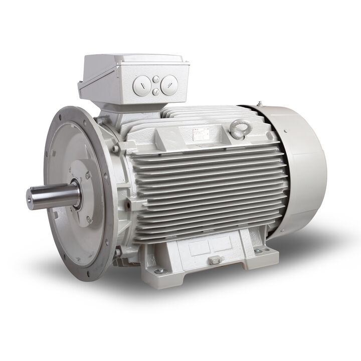 55.00 kW General Purpose Low Voltage IEC Motor IE3, 3 phase, 1500 rpm, D400/Y690V 50Hz, 225M Frame B5, IC411