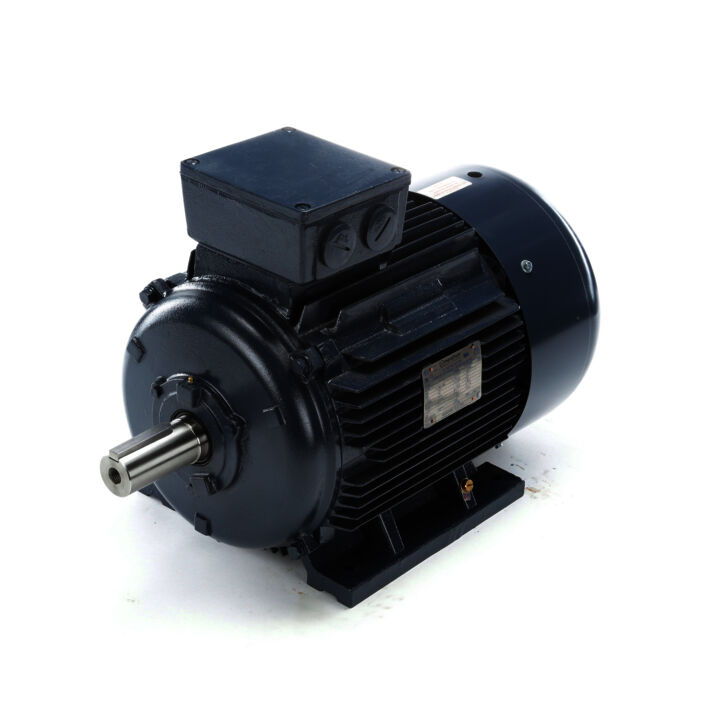 Cast Iron Motor, 30 & 25 HP, 3 Ph, 60 & 50 Hz, 230/460 & 200/400 V, 1200 & 1000 RPM, 200L Frame, TEFC